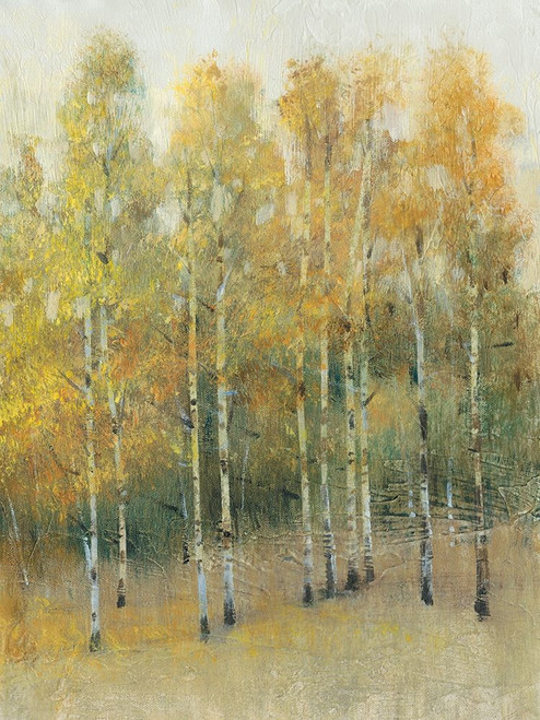 Woodland Edge IV Poster Print - Tim OToole