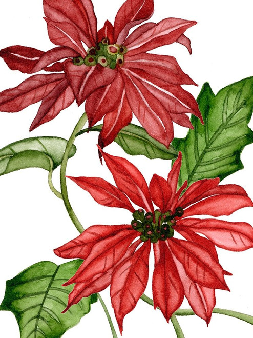 Merry Blossom IV Poster Print - Melissa Wang