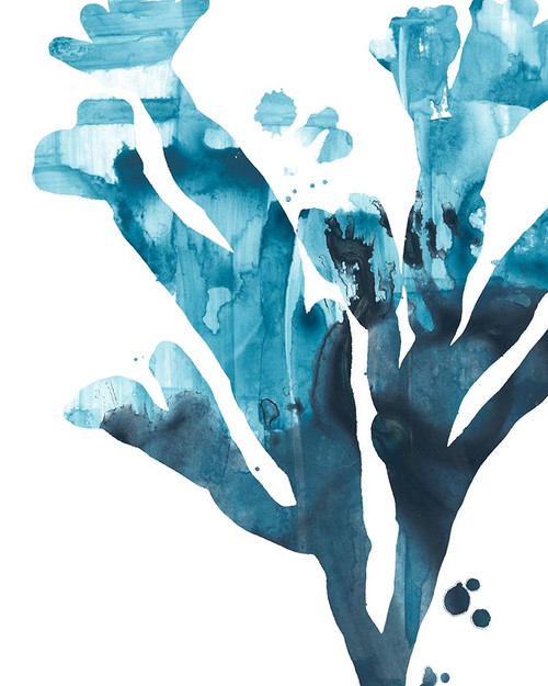 Inkwash Kelp II Poster Print - June Erica Vess