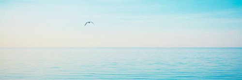 Beachscape Panorama XII Poster Print - James McLoughlin