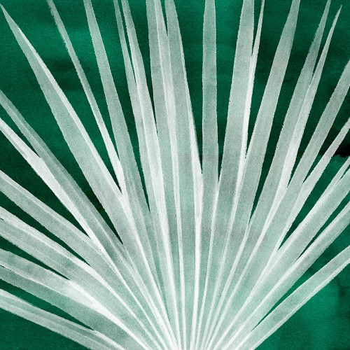 Velvet Palm I Poster Print - Grace Popp