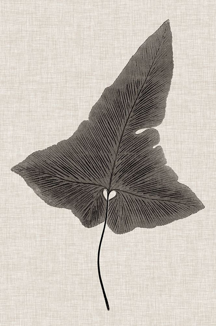 Custom Fern Family I