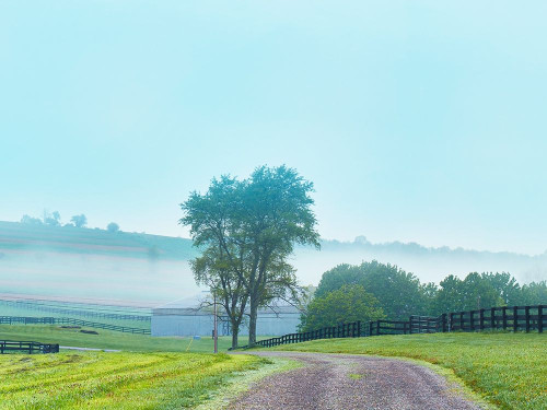 Farmscape Photo VII Poster Print - James McLoughlin