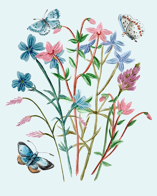 Wildflowers Arrangements III Poster Print - Melissa Wang