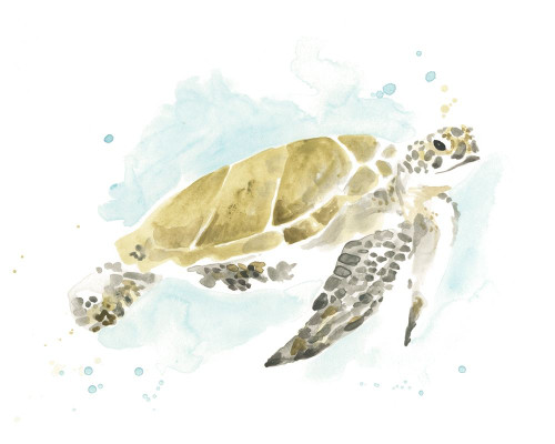 Watercolor Sea Turtle Study I Poster Print - June Erica Vess