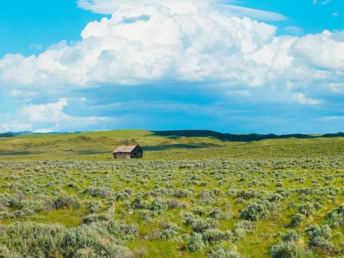 Barn Scene I Poster Print - James McLoughlin