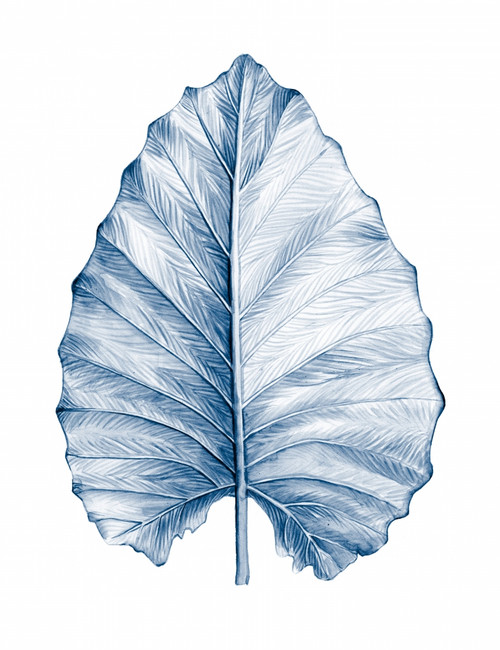 Indigo Tropical Leaves III Poster Print - Megan Meagher