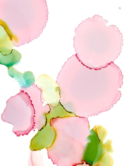 Pink Pop II Poster Print - Ethan Harper