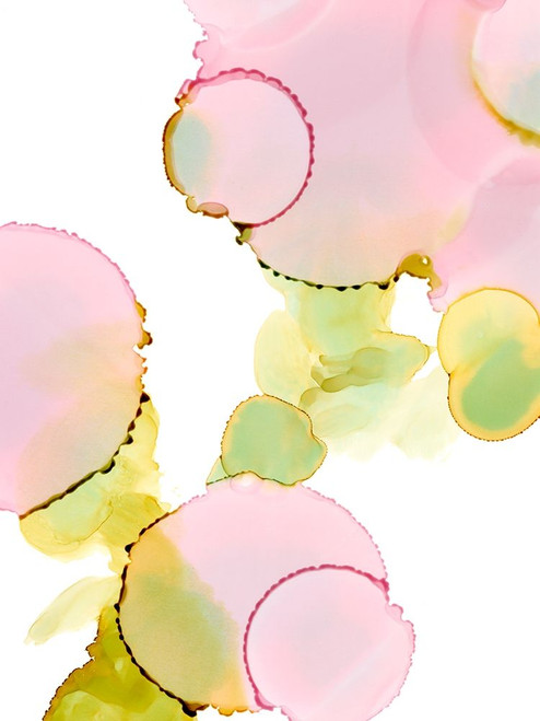 Pink Pop I Poster Print - Ethan Harper