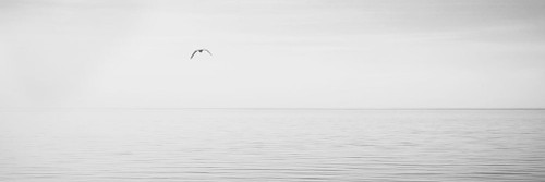 Black and White Water Panel XVI Poster Print - James McLoughlin