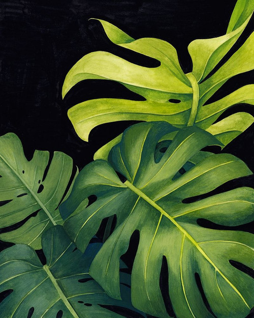 Night Monsteras I Poster Print - Grace Popp