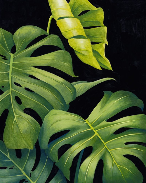 Night Monsteras II Poster Print - Grace Popp