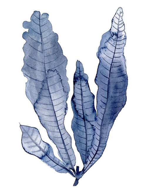 Seaweed Under Water IV Poster Print - Melissa Wang