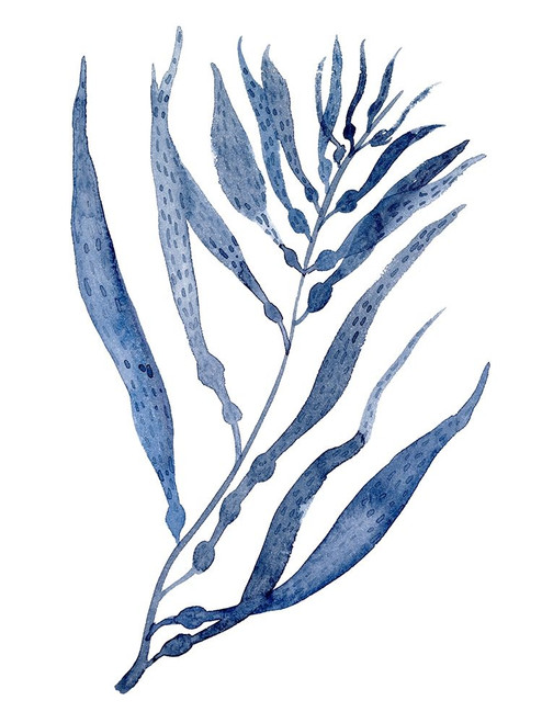 Seaweed Under Water III Poster Print - Melissa Wang