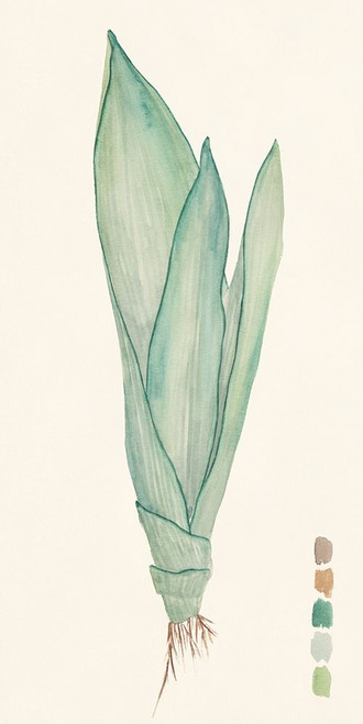 Snake Plants II Poster Print - Melissa Wang