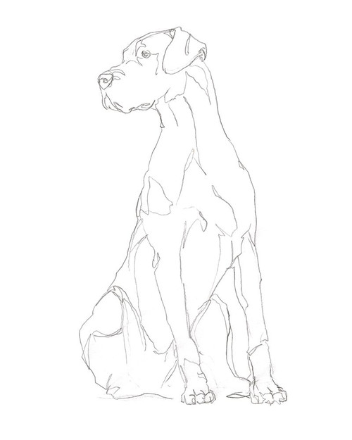 Dog Contour II Poster Print - Ethan Harper