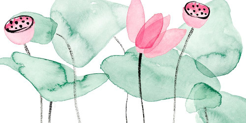 Lotus in Nature II Poster Print - Melissa Wang