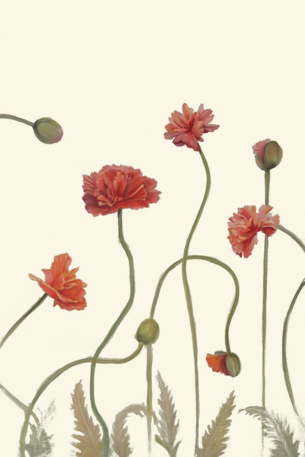 Coral Poppy Display III Poster Print - Sandra Iafrate