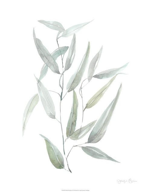 Ethereal Eucalyptus I Poster Print - Jennifer Goldberger