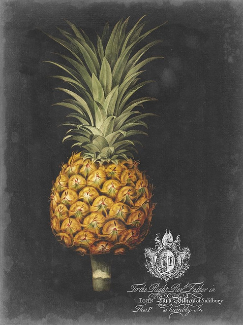 Royal Brookshaw Pineapple II Poster Print - George Brookshaw