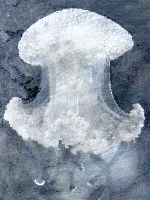 Indigo Jellyfish II Poster Print - Design Studio Stellar