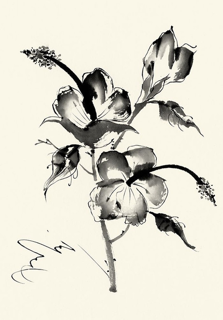 Ink Wash Floral III - Hibiscus Poster Print - Nan Rae