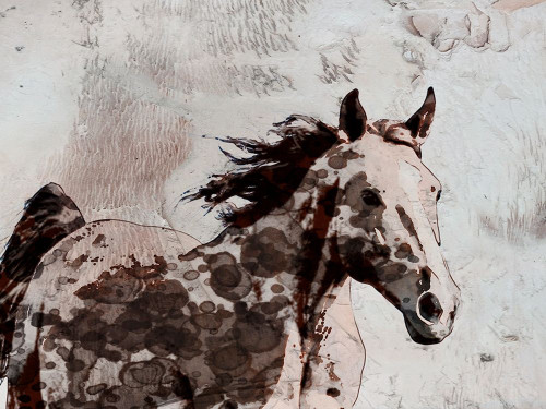 Winner Horse II Poster Print - Irena Orlov