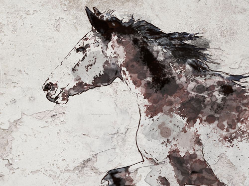 Winner Horse I Poster Print - Irena Orlov