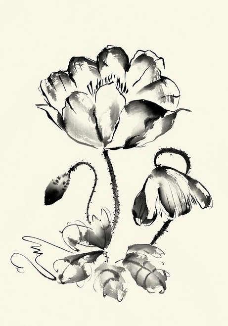 Ink Wash Floral IV - Poppy Poster Print - Nan Rae