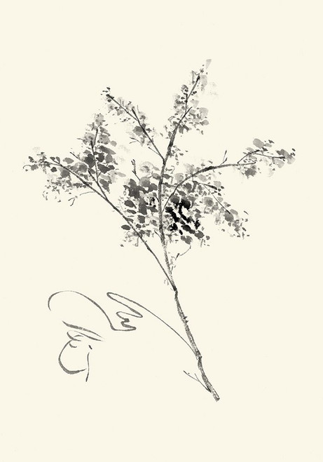 Ink Wash Floral VII - Forsythia Poster Print - Nan Rae