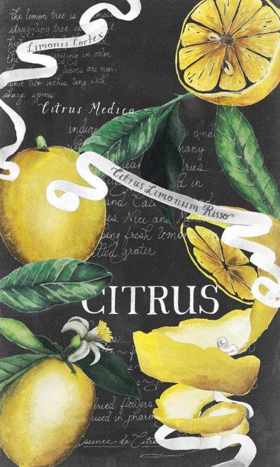 Chalkboard Citrus II Poster Print - Grace Popp