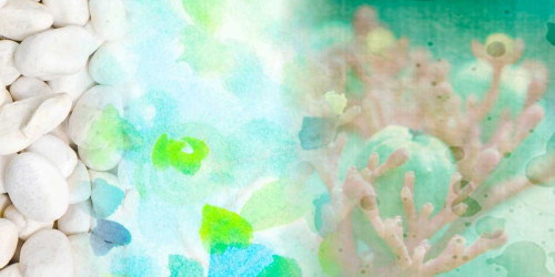 Serene Photo Collage IV Poster Print - Irena Orlov