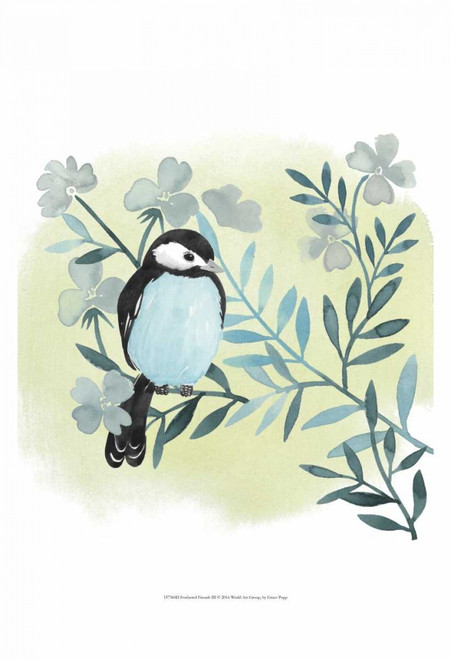 Feathered Friends III Poster Print - Grace Popp