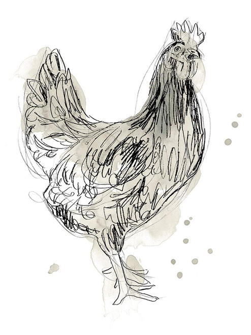 Feathered Fowl I Poster Print - June Erica Vess