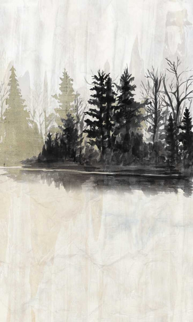 Pine Island I Poster Print - Naomi McCavitt