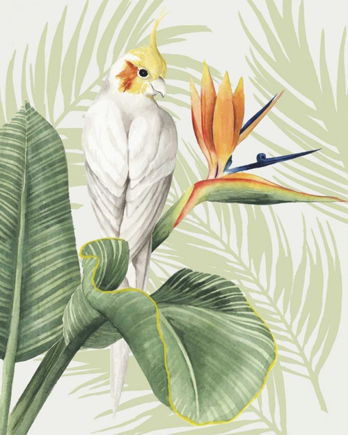Avian Paradise II Poster Print - Grace Popp