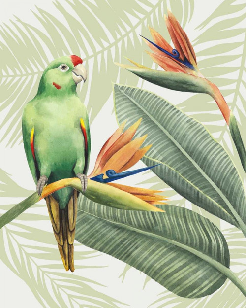 Avian Paradise IV Poster Print - Grace Popp