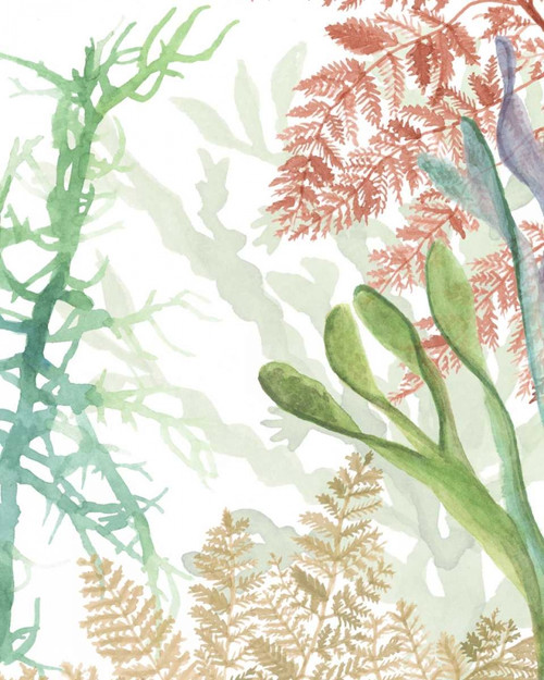 Woven Seaplants I Poster Print - Naomi McCavitt