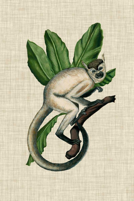 Canopy Monkey IV Poster Print - Naomi McCavitt