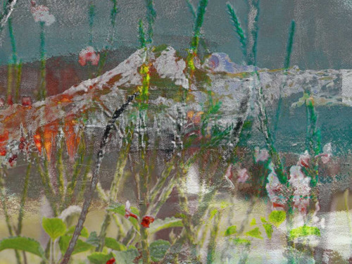 Mountain Wildflowers II Poster Print - Sisa Jasper