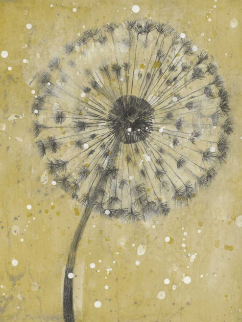 Dandelion Abstract I Poster Print - Tim OToole