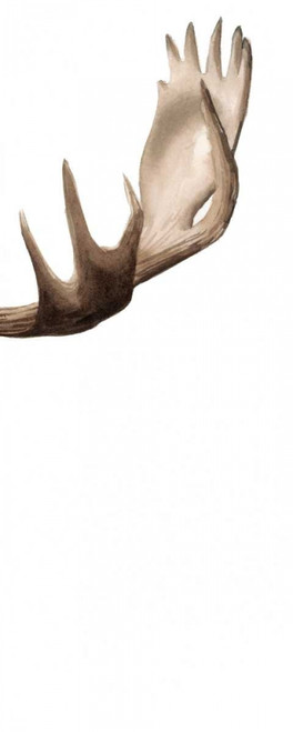 Triptych Moose III Poster Print - Grace Popp