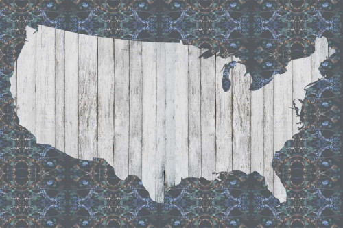 Flower Map VI Poster Print - Jennifer Goldberger