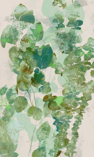 Watercolor Eucalyptus II Poster Print - Jennifer Goldberger