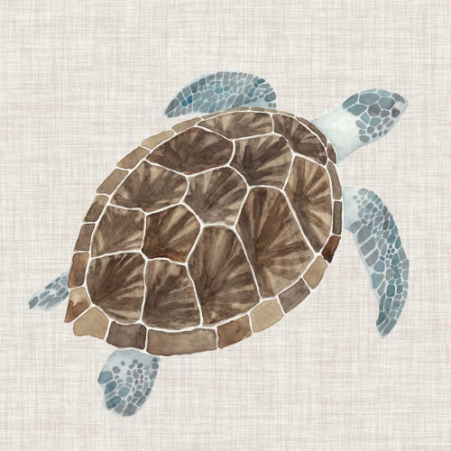Sea Turtle I Poster Print - Naomi McCavitt