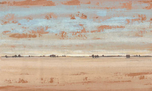 Southwest Vista II Poster Print - Tim OToole