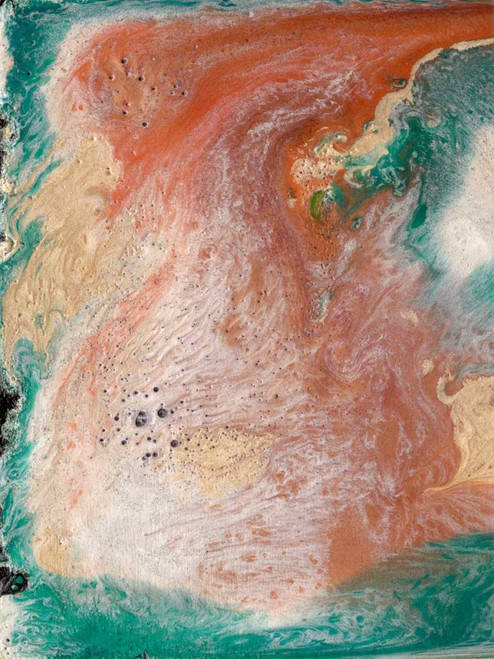 Coralline I Poster Print - Alicia Ludwig