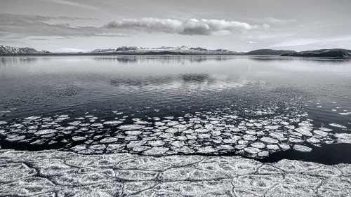 Spring Break Poster Print - John Fan