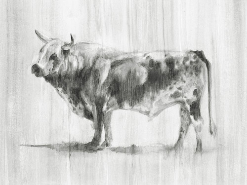 Rustic Bovine II Poster Print - Ethan Harper