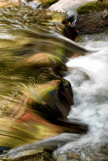 Water Abstract I Poster Print - Danny Head